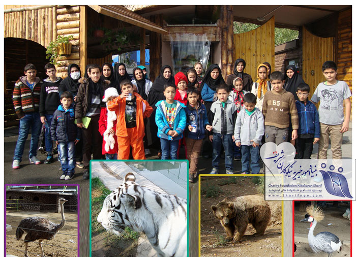 بازدید از باغ وحش، استمرار محبت بین کودکان و حیوانات